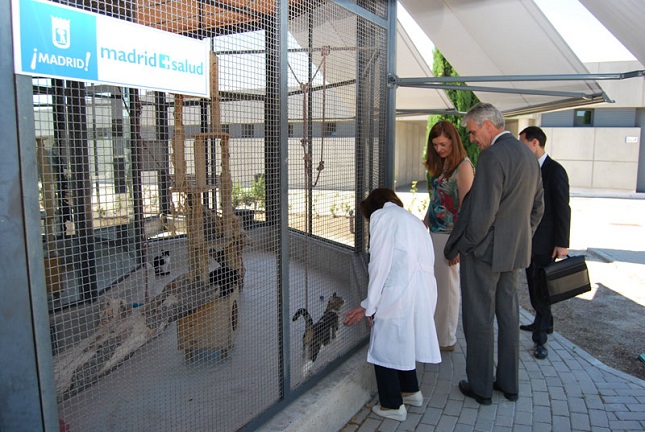 Conoce el servicio de adopción de animales | Noticias de Madrid