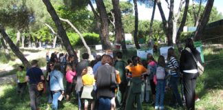 Curso sobre jardines madrileños y sostenibles en El Retiro