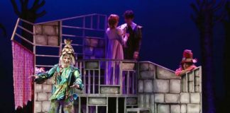 Rapunzel el musical en el Teatro Sanpol