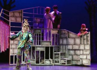 Rapunzel el musical en el Teatro Sanpol