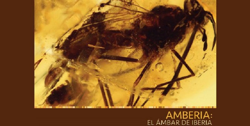 Amberia Amber of Iberia