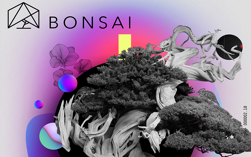 Bonsai-Pride