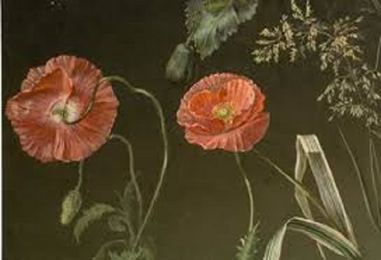 Paisaje y Flores renovación del dibujo académico en el siglo XIX