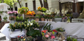 mercado de las flores madrid, jardin efimero madrid, flores madrid