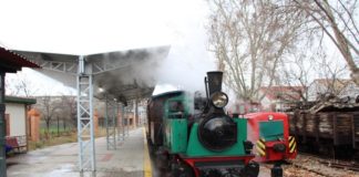 Paseo turístico: Jornada de puertas abiertas del Tren de Arganda