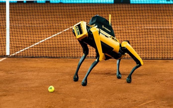 Yellow, el primer perro robot inteligente en el dispositivo de seguridad del Mutua Madrid Open